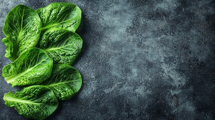 Wall Mural - A bunch of lettuce on a dark surface