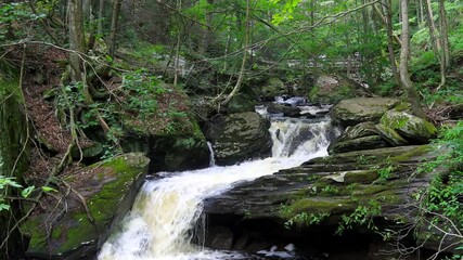 Wall Mural - waterfalls in scenic ricketts glen state park, pennsylvania .