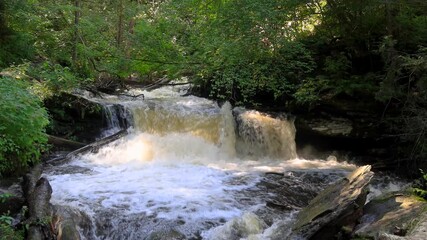 Wall Mural - waterfalls in scenic ricketts glen state park, pennsylvania.