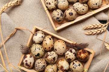 Canvas Print - Boxes with fresh quail eggs and wheat on sack cloth background