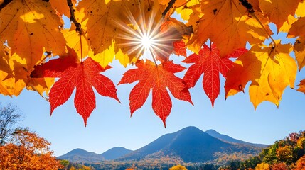 Wall Mural - Bright Autumn Leaves with Sunburst Over Mountain Landscape