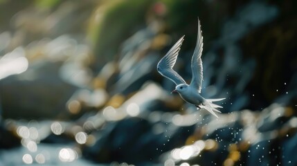 Wall Mural - A serene moment capturing a bird in flight over a shimmering coastal landscape with blurred natural elements