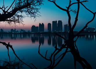 Tranquil urban twilight, Skyline silhouettes reflected in calm waters, framed by the delicate tracery of bare tree branches at dusk