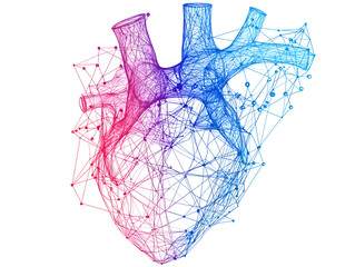 Poster - Digital heart model virtual space graphic art abstract environment 3d viewpoint modern technology concept