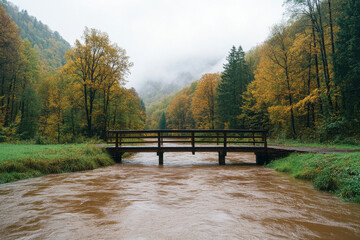 Wall Mural - A bridge over a river with a lot of leaves on the trees