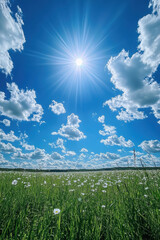 Wall Mural - bright blue sky with fluffy clouds over green field of flowers