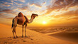 © RIFKI DWI - A camel standing majestically in the desert, with a bright sunset in the background