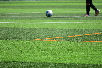 Wall Mural - training of soccer on green grass artificial