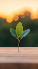 Poster - Modern Sustainable Finance Concept Natural Wooden Surface with Stacked Coins and Seedling Growth - Eco Investment Strategy and Wealth Building for Green Financial Industries