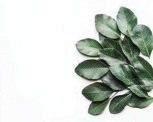 Aufkleber - Eco-Chic Visuals Cascading Botanical Green Leaves on Minimalist Canvas - Sustainable Design Inspiration for Modern Environmental Branding and Marketing Strategies