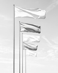 Poster - Minimalist Flag Display in Monochrome Outdoor Pole Arrangement for Modern Diplomacy Events and Cultural Unification Installations in Public Spaces