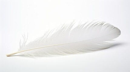 Wall Mural - pristine white feathers background