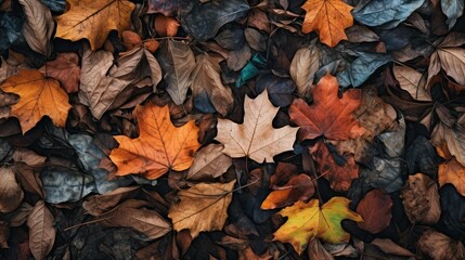 Wall Mural - leaves land texture