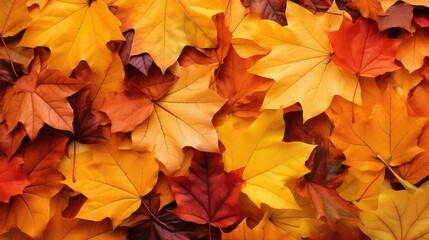 Wall Mural - nature leaves background fall