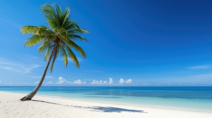 Canvas Print - beach coconut trees