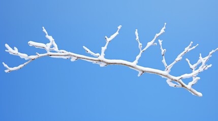 Poster - photography white tree branch