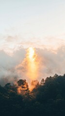 Wall Mural - Misty Mountain Sunrise with Golden Light
