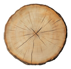 Wall Mural - Cross section of a tree trunk with visible growth rings, nature and forestry concept