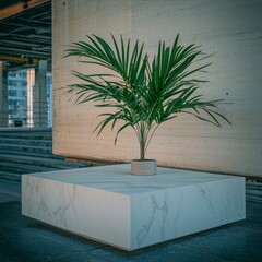 Wall Mural - Small Palm Tree in Concrete Pot on Modern Stone Block