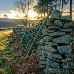 Wall Mural - Sunrise Over a Stone Wall and Metal Fence in a Frosty Field