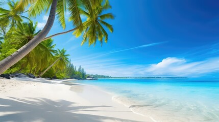 Canvas Print - paradise beach and palm trees