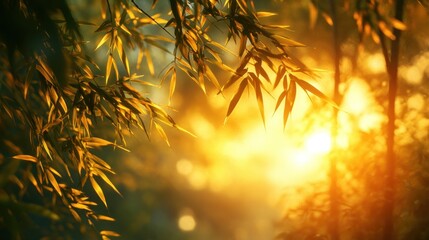Golden sunset foliage, forest background, nature scene, calming