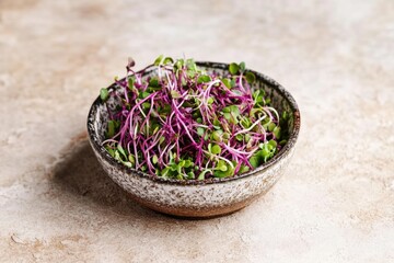 Wall Mural - Colorful edible sprouts in a bowl.