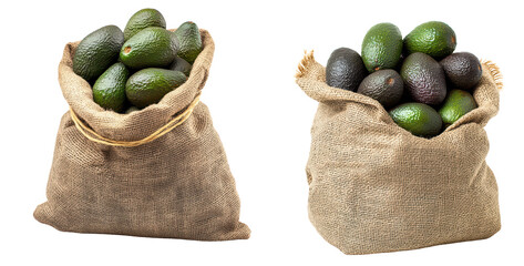 Wall Mural - Fresh Avocados in Burlap Sacks Ready for Market Sale and Display, isolated on transparent background.