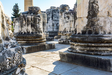 Wall Mural - Stone columns at the Temple of Apollo in Didyma, highlighting intricate ancient Greek architecture and historical craftsmanship. Didim, Aydin, Turkey (Turkiye)