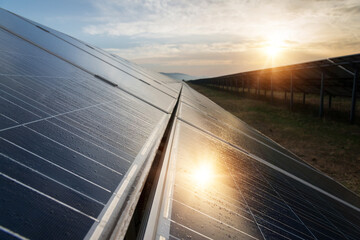 Wall Mural - Sunset at Solar power station. Solar panels, photovoltaics, alternative source of electricity - concept of sustainable and renewable sources.