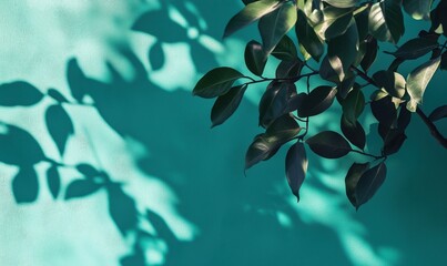 Poster - Shadows of Green Leaves on Turquoise Wall, Natural Light and Texture