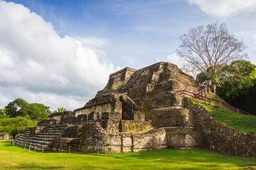 Wall Mural - View to the ruins of Maya city called Altun Ha