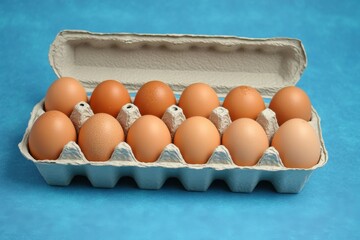 Poster - Fresh brown eggs in a carton arranged neatly on a vibrant blue background