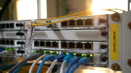 Wall Mural - Close up Ethernet cable on network switches light background Network internet cables data center.
