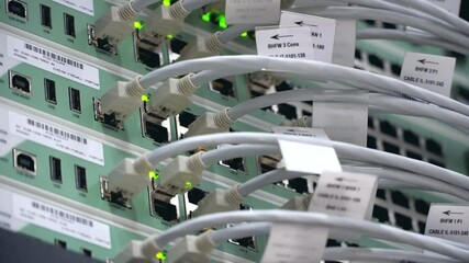 Wall Mural - connecting cable wires patch into data centers with led lights blinks. internet technology server 4k