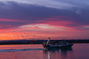 Fototapete - Barco pasando por el rio Guadiana al atardecer