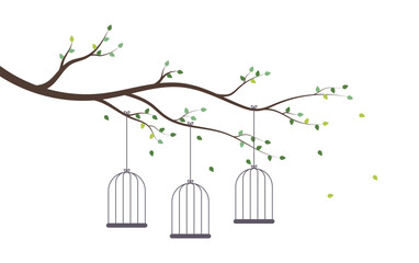 bird cages on tree branch