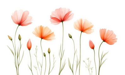 Wall Mural - Delicate pastel poppies in a floral arrangement