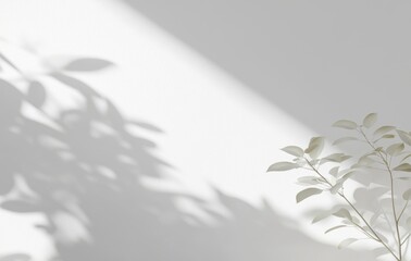 Poster - Shadow effect isolated on a transparent medium. Leaves and branches cast transparent shadows and light. Mockup presenting leaf shadows and lightning in transparency