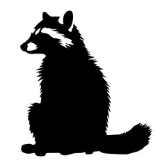 Wall Mural - raccoon silhouette