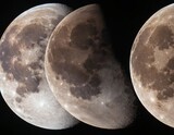 Phases of the Moon. Moon lunar cycle. Ai generated