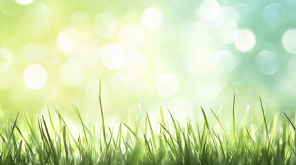 Poster - Vibrant green grass thrives under a sunny sky, with a soft bokeh effect creating a dreamy, idyllic atmosphere, perfect for representing nature's beauty and tranquility