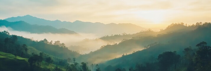 Poster - Golden hour sunlight is illuminating the rainforest and tea plantations covering the misty rolling hills and mountain ridges of cameron highlands, pahang, malaysia, creating a breathtaking view
