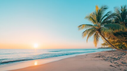 Poster - Tranquil scene of a sunset over a tropical beach with calm waves gently lapping the shore and a palm tree leaning towards the ocean, creating a serene and idyllic paradise
