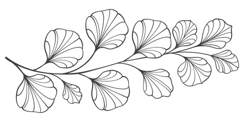 Wall Mural - hand drawn line art vector of leaf