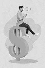 Poster - Vertical collage picture of positive mini gut sit huge dollar symbol use telephone earn online isolated on creative background