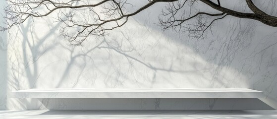 Poster - Minimalist interior with white wall and elegant shelf, casting delicate shadows from branches for serene ambiance.