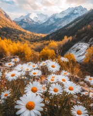 Wall Mural - bright autumn daisies growing in the wild, surrounded by the majestic mountains,