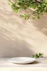 Poster - Minimalist white plate surrounded by soft shadows and green leaves, perfect for food photography and elegant presentations.