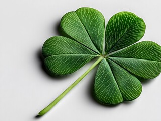 Wall Mural - A four leaf clover on a white surface